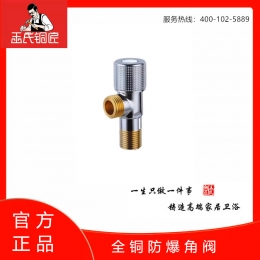 王氏铜匠-全铜防爆角阀 ￥35.9