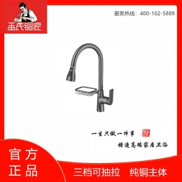 王氏铜匠-三挡可抽拉菜盆龙头 ￥399