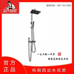 王氏铜匠-幻影花洒 ￥1699