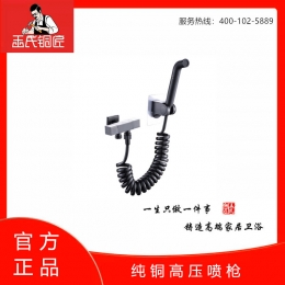 王氏铜匠-高压马桶伴侣 ￥199