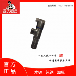 王氏铜匠-枪灰色角阀 ￥37.9