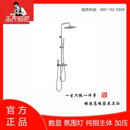 王氏铜匠-数显氛围灯加压花洒 ￥1499