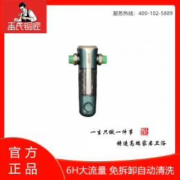 王氏铜匠-自动刮洗过滤器 ￥699