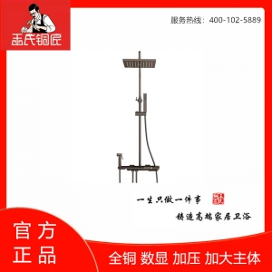 王氏铜匠-长久大运花洒 ￥1699